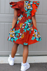 Ogechi little girls dress
